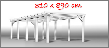 Carport 310x890 cm